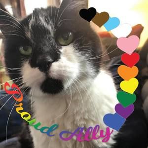 Meet your Posher, Jean